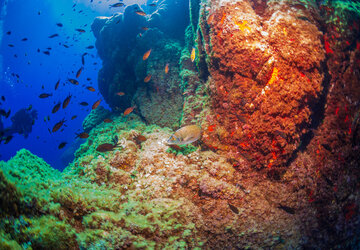 Algajola, Sport Nature, Plongée-sous-marine