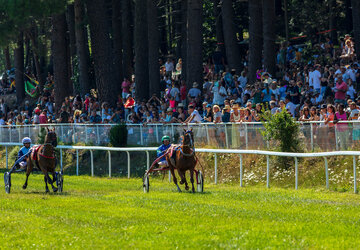 Course à Viseo