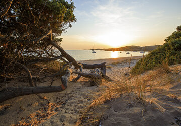 Coucher de soleil sur la plage - Hôtel de la Ferme du Domaine de Murtoli