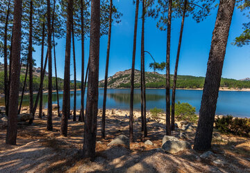 Corse-du-Sud (2a) Porto-Vecchio,Lac de l'Ospédale.