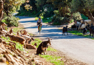 Haute Corse (2B) Bikingman Corsica 201