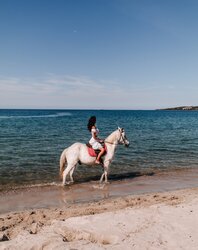 Expérience cheval sur la plage - Hôtel Le Golfe