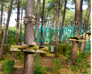 Acrobranche - Camping La Pinède