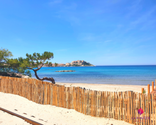 Baie de Calvi - Camping La Pinède