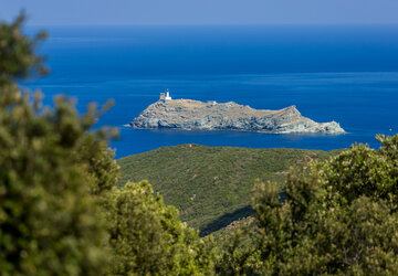 Giraglia, Barcaggio