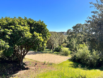 jardin - Villa Valle Di Corte
