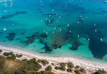 Plage de Saint Cyprien - Hôtel & Spa Son de Mar