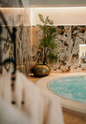 Jacuzzi - Hôtel Fesch & SPA