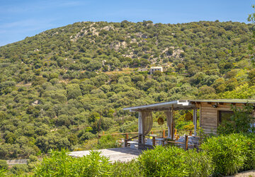 Domaine Baggia Donne vue maquis - Meublé de tourisme Domaine Bagia Donne