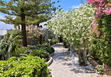 Hôtel Dolce Vita allée  - Hôtel Dolce Vita