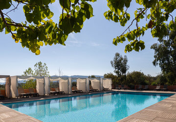 Résidence Royal Palm piscine - Résidence Royal Palm