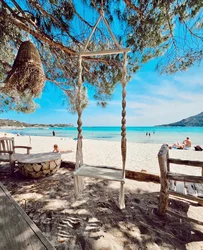 paradisula