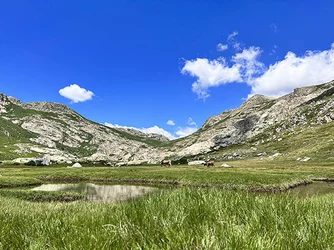 Corse du Sud © Corsicatours