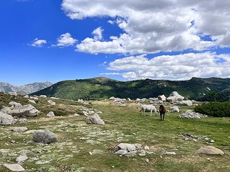 Corse du Sud © Corsicatours