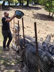 Corse du Sud © Coggia 4x4