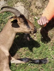 Corse du Sud © Coggia 4x4