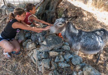 Haute Corse © Robert Palomba