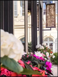 Restaurant l'Aria Nova © https://www.restaurant-aria-nova.com/fr-restaurant-corse-du-sud-gastronomique