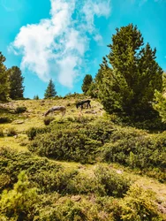 Corse © Unsplash Gioia M