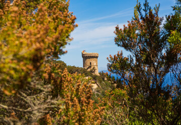 Corse du sud © Arnaud Grimaldi