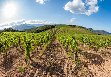 Corse du Sud © Robert Palomba