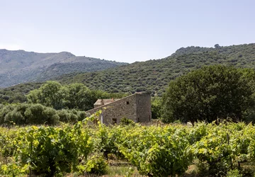 Haute Corse © ATC Sylvain Alessandri