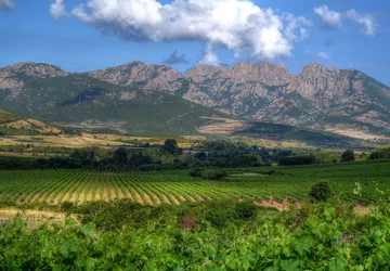 Haute Corse © Domaine Alzipratu