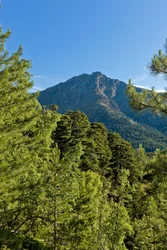 Haute Corse © Robert Palomba