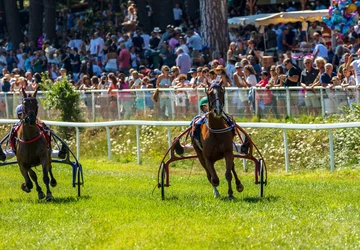 Corse du Sud © Robert Palomba