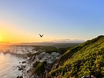  © corsicatours