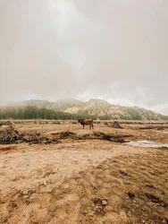 Corse du Sud © Pexels Agence Mald