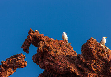 Corse du Sud © Robert Palomba