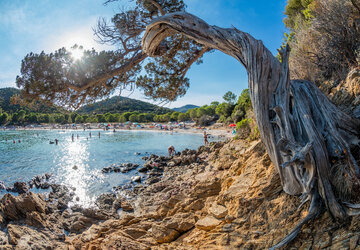 Corse du Sud © Robert Palomba