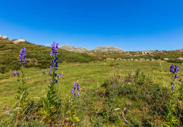 Corse du sud © Robert Palomba