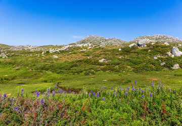 Corse du sud © Robert Palomba