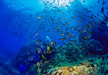 Corse du Sud © Robert Palomba