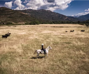 Haute Corse © La ferme équestre CLG Ranch