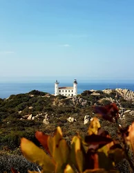 Corse du sud © Phare de Senetosa