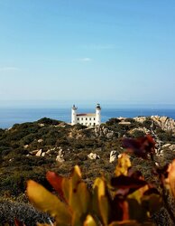 Corse du sud © Phare de Senetosa