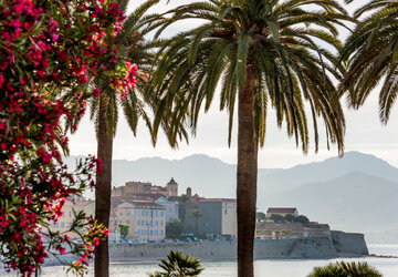 Corse du Sud © Robert Palomba