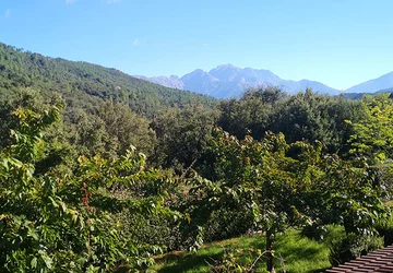  - Chambre d'hôtes Ogliastru