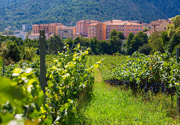  - Ferme Auberge L'Osteria di L'Orta