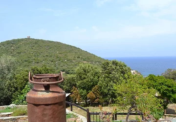  - Chambre d'hôtes Casa di Babbo