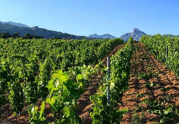  - Ferme Auberge Domaine de Piscia