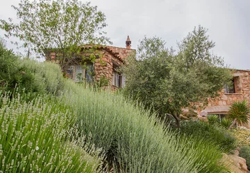  - Ferme Auberge Domaine de Piscia
