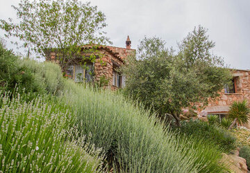  - Ferme Auberge Domaine de Piscia