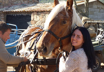  - Ferme Auberge Domaine de Piscia