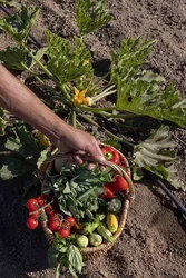  - Domaine Pozzo di Mastri Ferme Auberge 