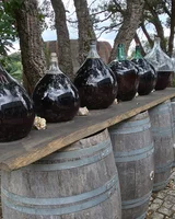 raphaele Bianchetti 4