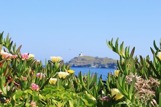 Séjour Corse : nos Tops de l’été
